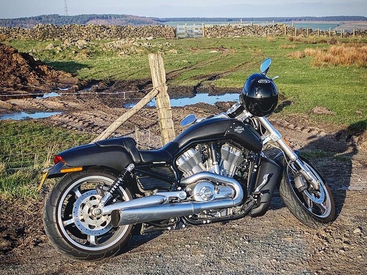 2014 Harley-Davidson Other Image 2