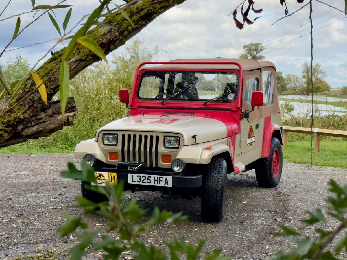 1993 Jeep Wrangler Image 8