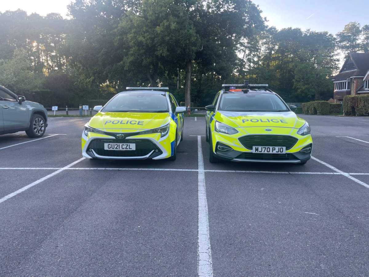 2021 Toyota Corolla Image 3