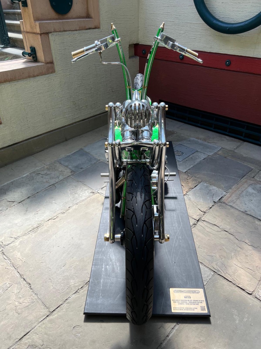 2025 Harley-Davidson Other Image 13