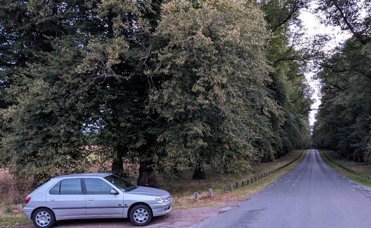 1999 Peugeot 306 Image 3