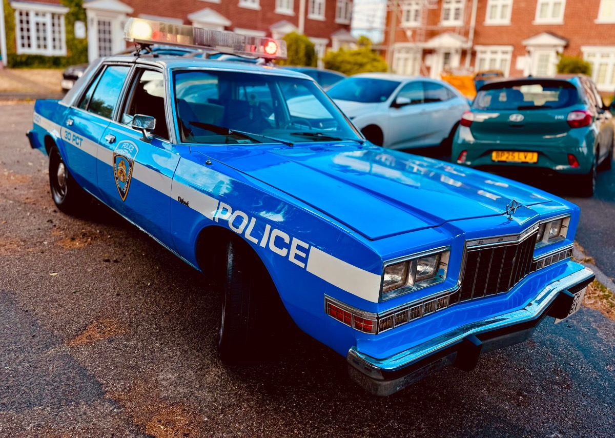 1981 Dodge Diplomat Image 6