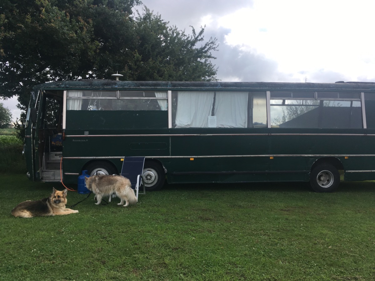 1969 Bedford Other Image 3