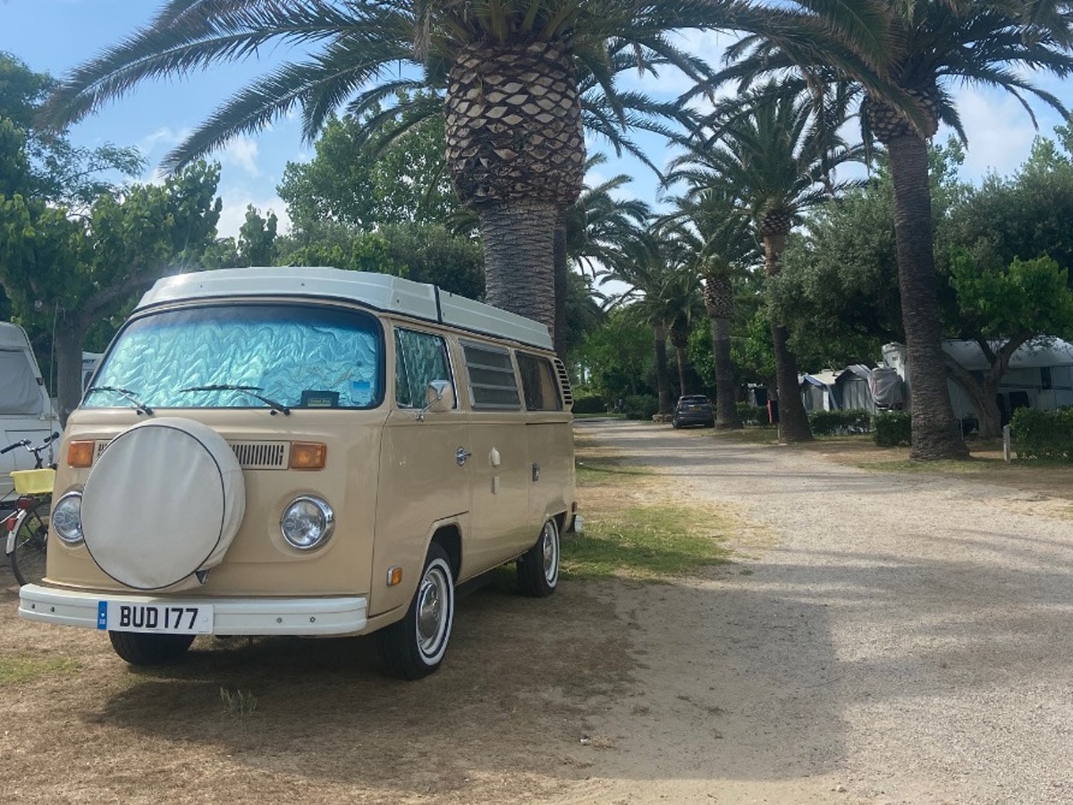 1979 Volkswagen Westfalia Image 2