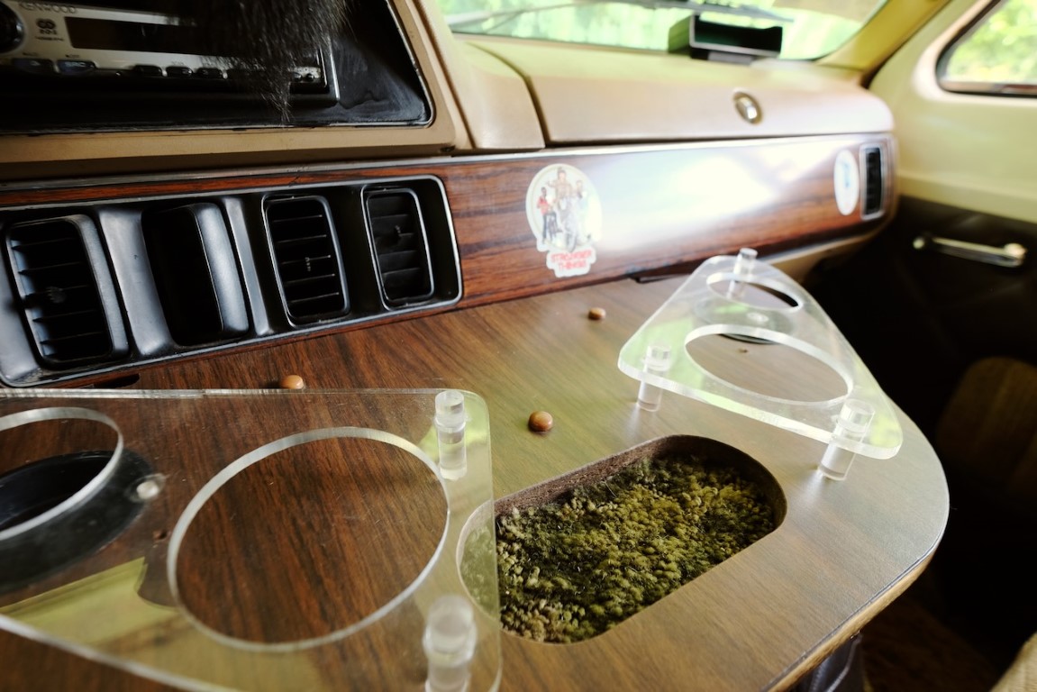 1980 Dodge Other Image 2