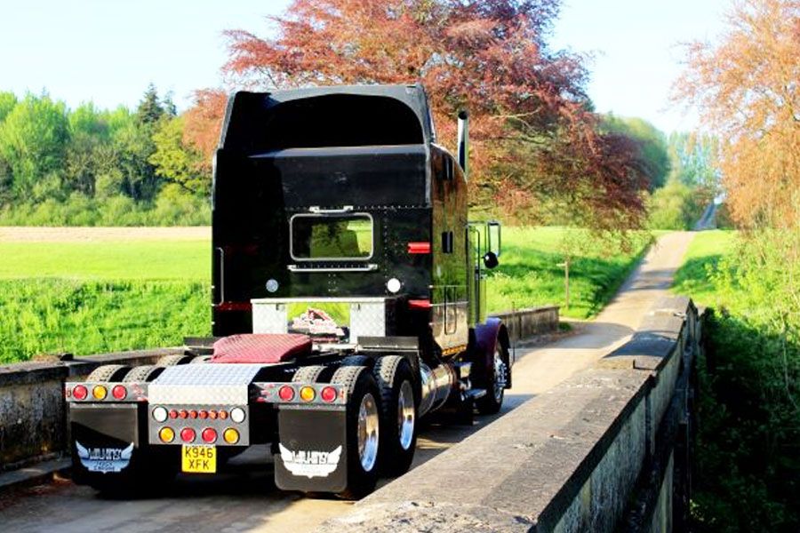 1993 Peterbilt 379 Image 2