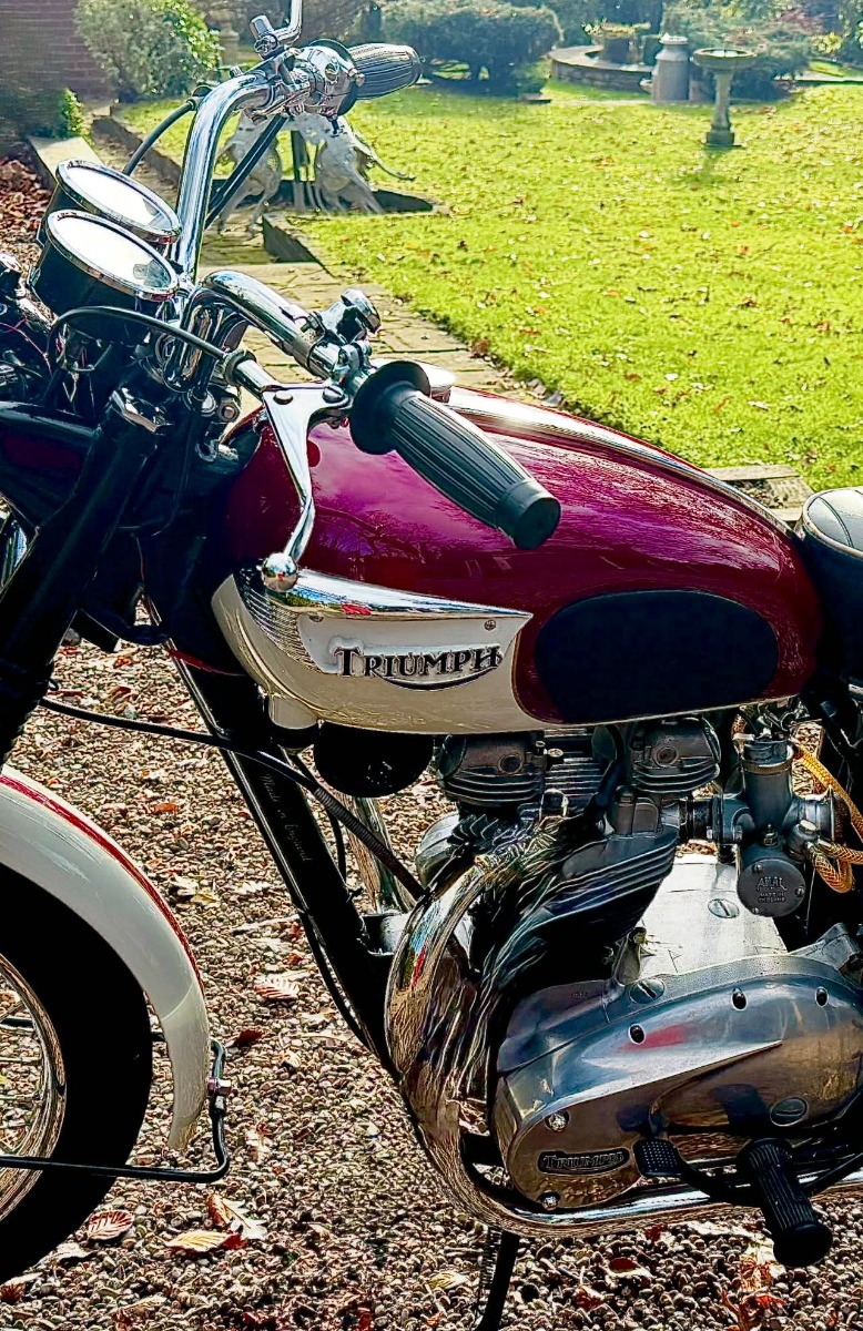 1967 Triumph Bonneville Image 3
