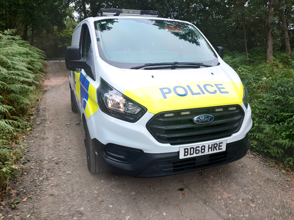 2018 Ford Transit Image 3