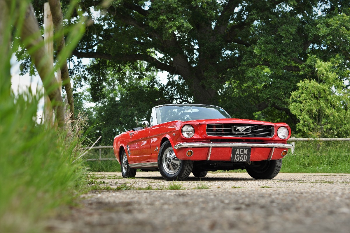 1966 Ford Mustang Image 1