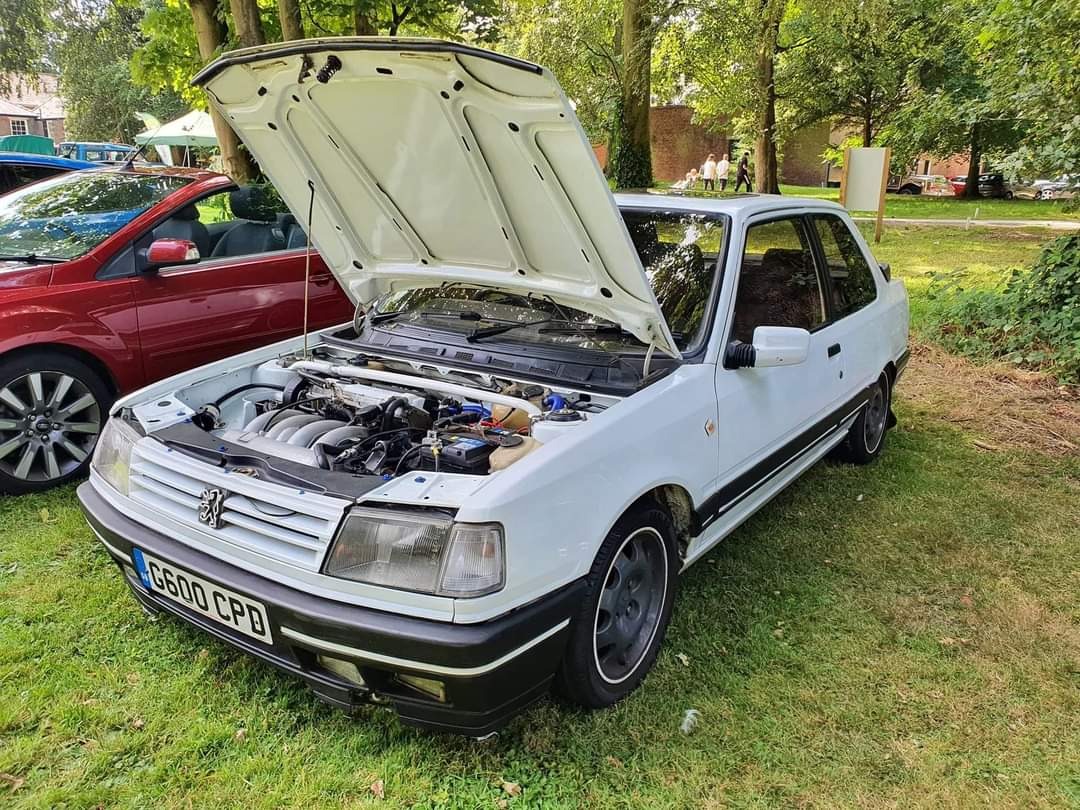 1989 Peugeot 309 Image 2