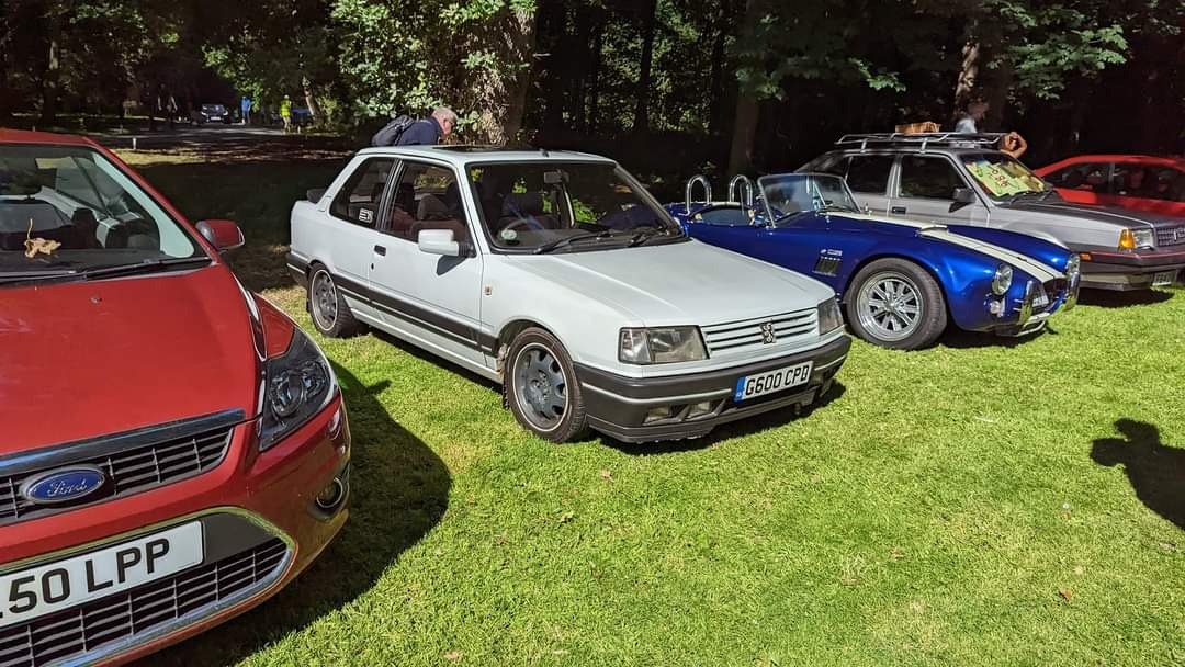 1989 Peugeot 309 Image 1