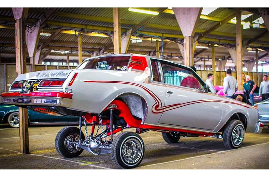 1979 Buick Regal Image 1