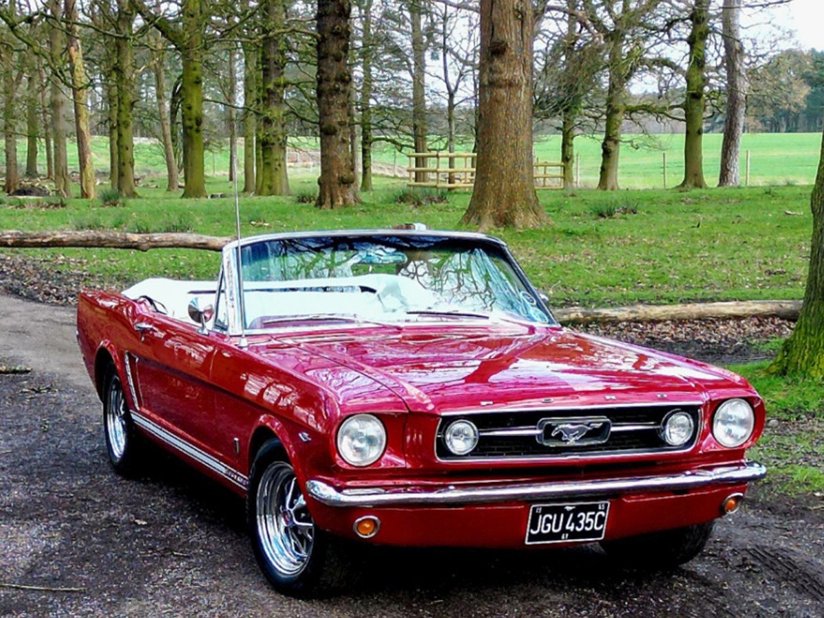 1965 Ford Mustang Image 1