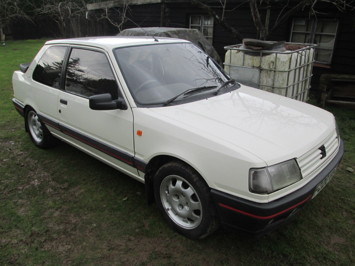 1989 Peugeot 309 Image 2