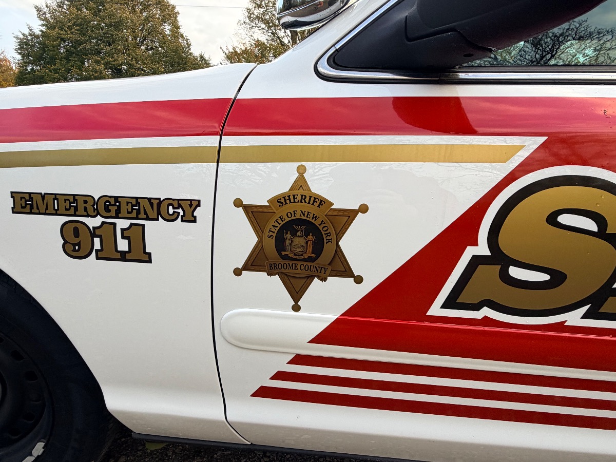 1999 Ford Crown Victoria Image 4