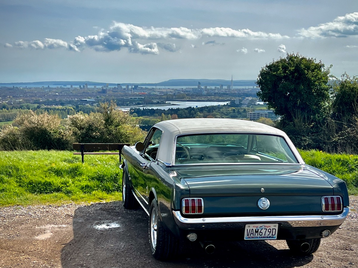 1966 Ford Mustang Image 3