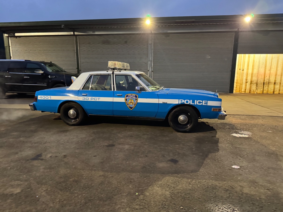 1981 Dodge Diplomat Image 3