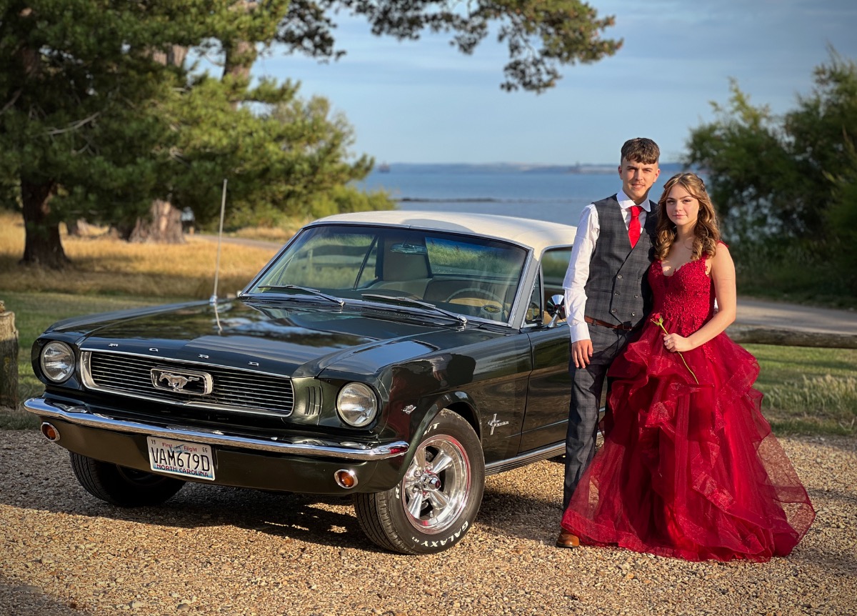 1966 Ford Mustang Image 2