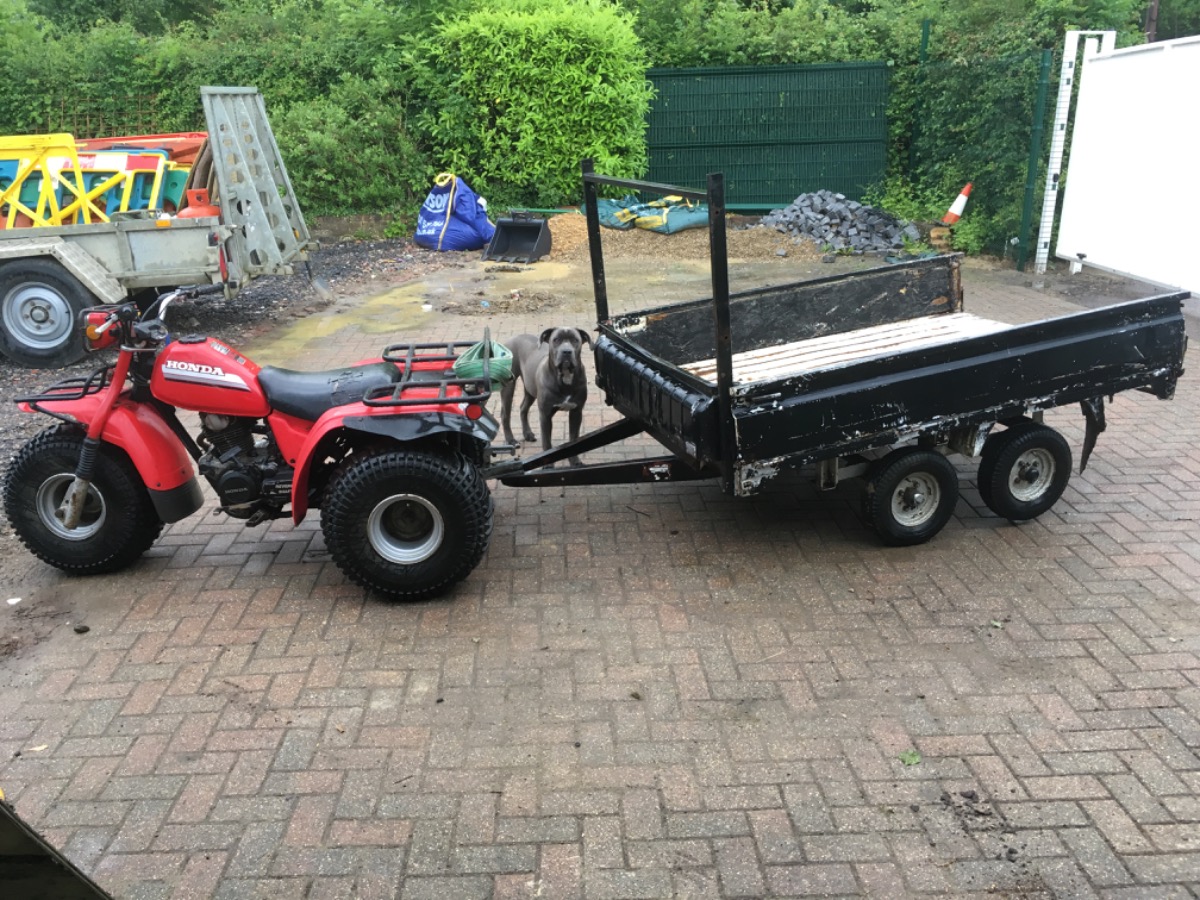 1986 Honda Atc250Es Image 4