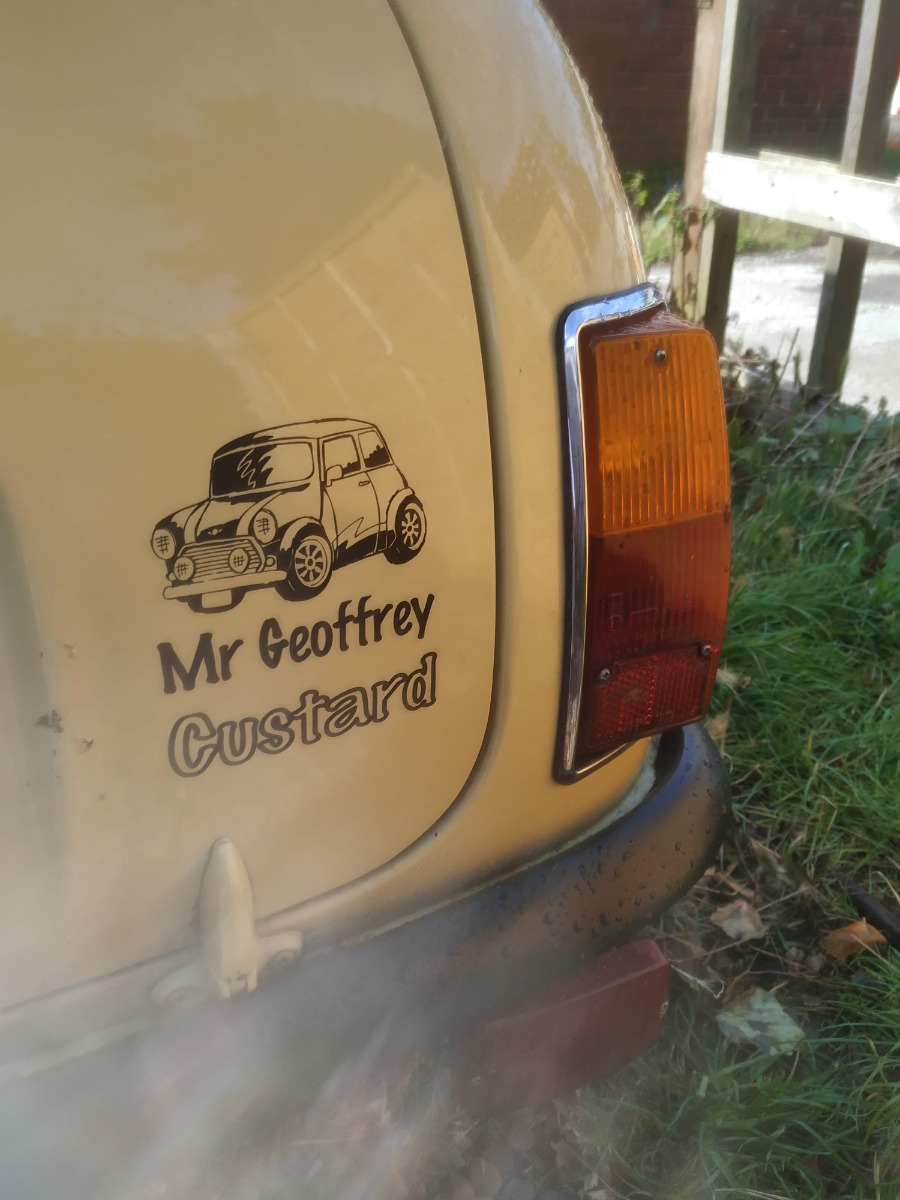 1983 Austin Mini Image 10