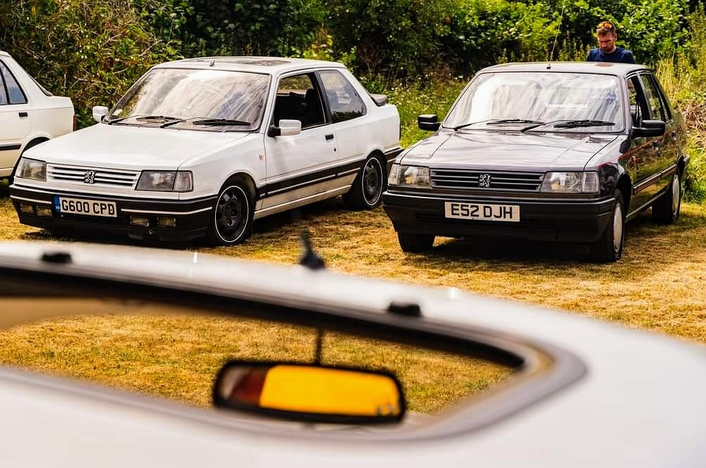 1989 Peugeot 309 Image 3