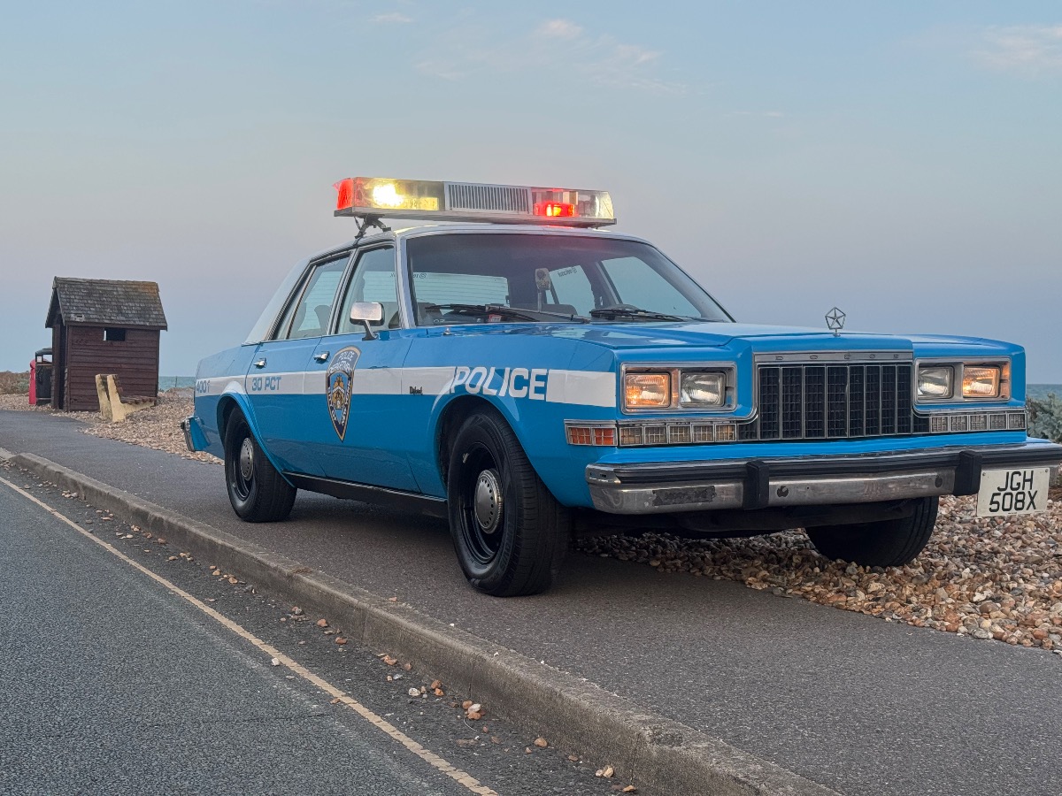 1981 Dodge Diplomat Image 4