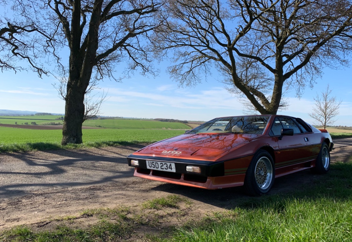 1981 Lotus Esprit Turbo Image 4