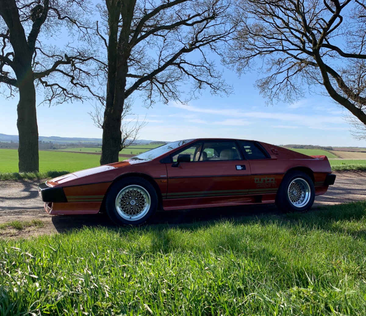 1981 Lotus Esprit Turbo Image 3