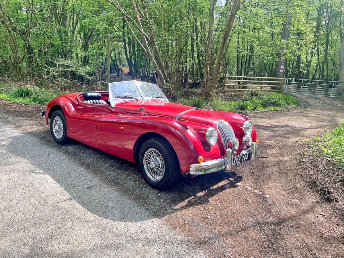 1956 Jaguar XK Image 1