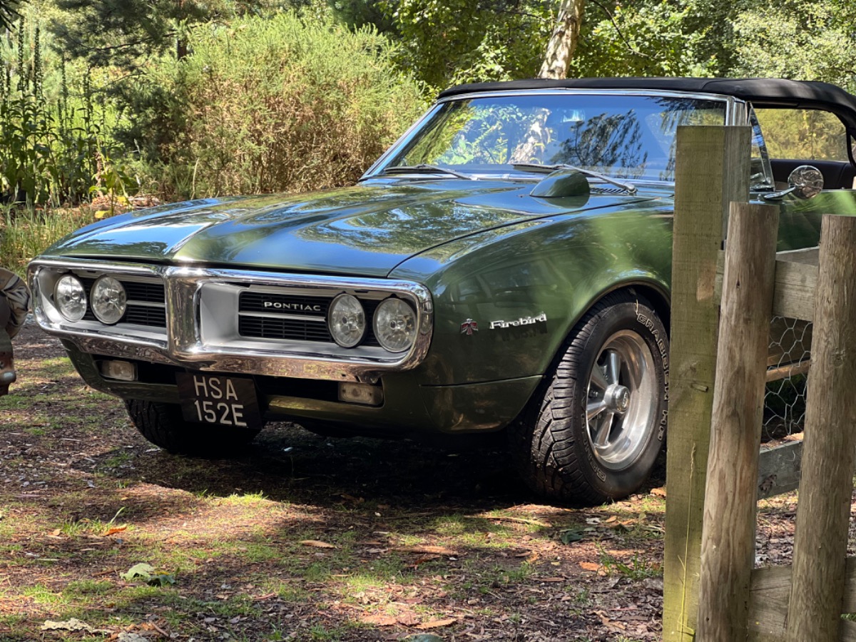 1967 Pontiac Firebird Image 3