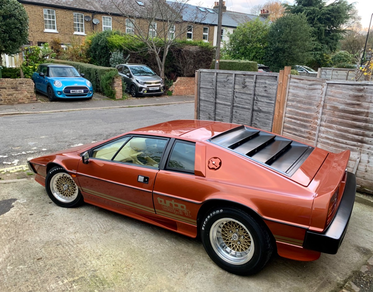 1981 Lotus Esprit Turbo Image 2