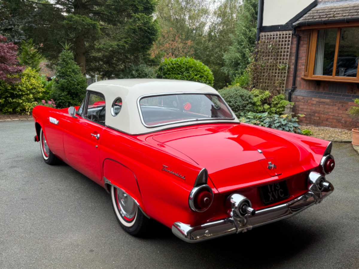 1955 Ford Thunderbird Image 3