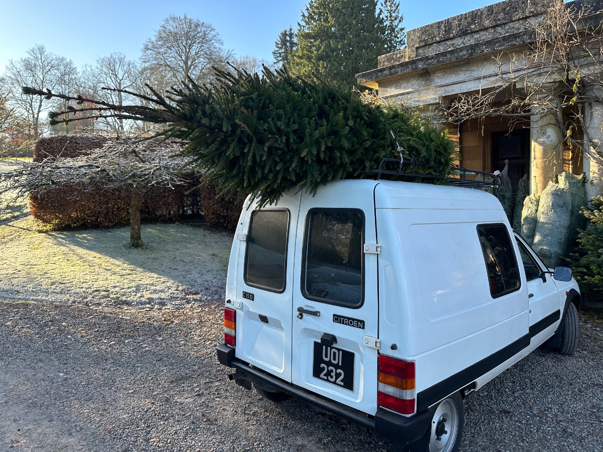 1995 Citroen Other Image 3