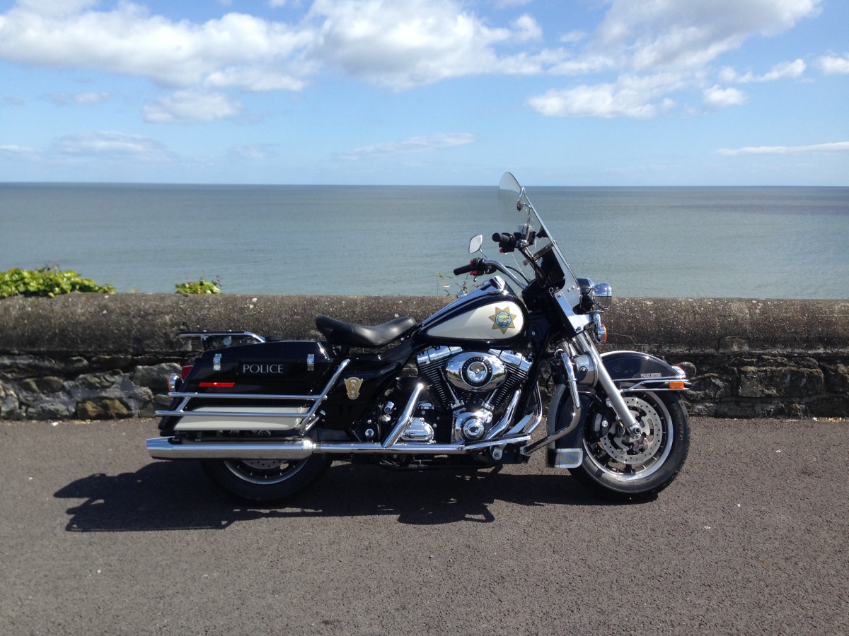2008 Harley-Davidson Harley-Davidson Flhr Image 1