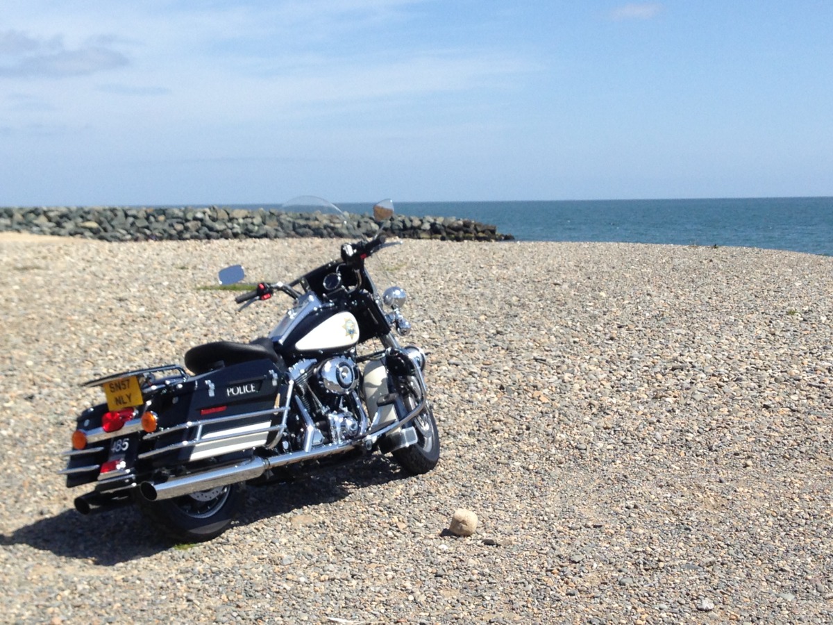 2008 Harley-Davidson Harley-Davidson Flhr Image 3