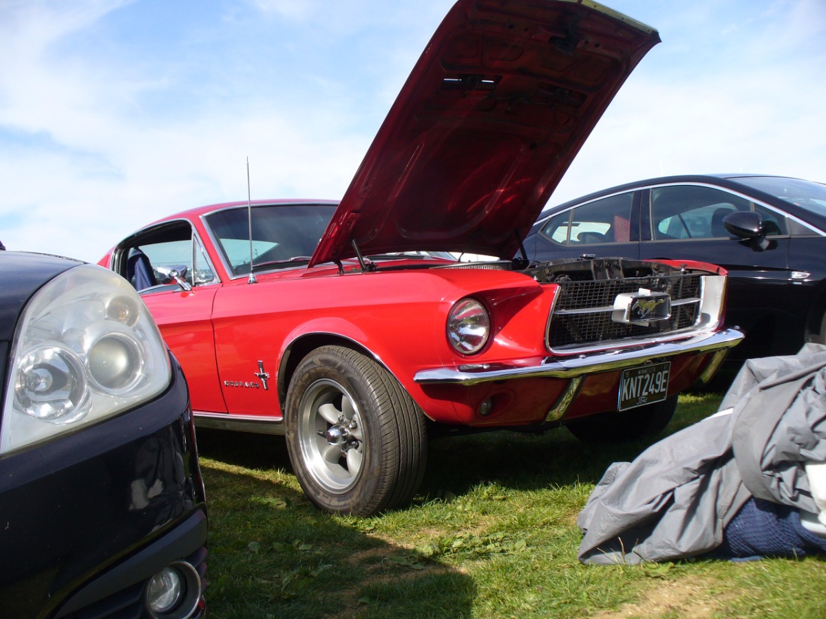 1967 Ford Mustang Image 6