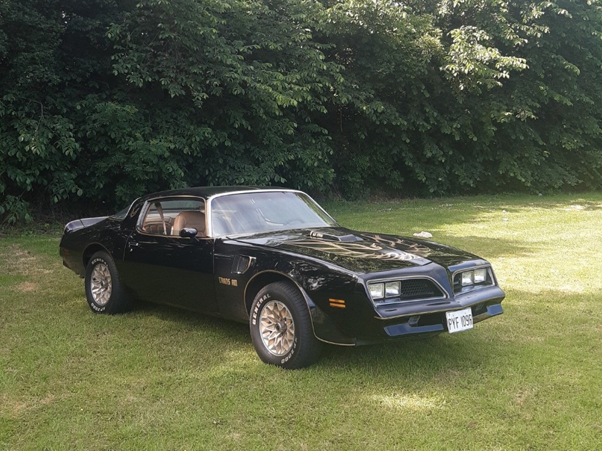 1977 Pontiac Firebird Trans Am Image 9