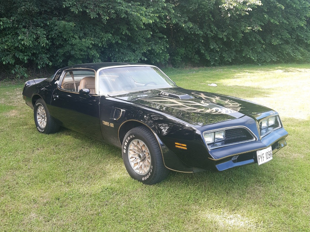 1977 Pontiac Firebird Trans Am Image 10