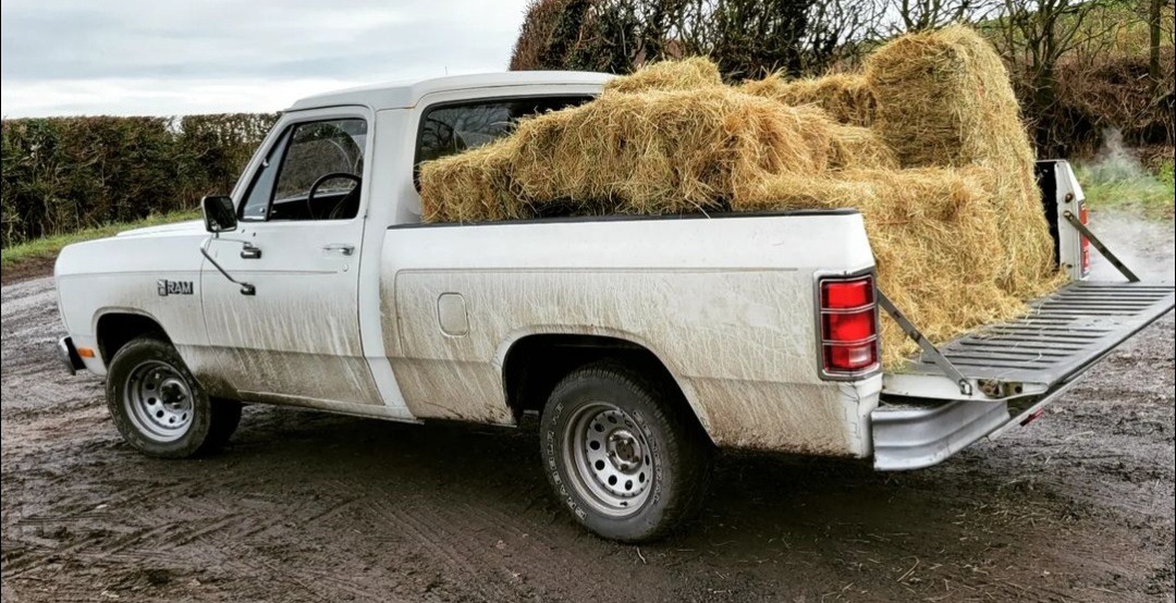 1983 Dodge D150 Image 3
