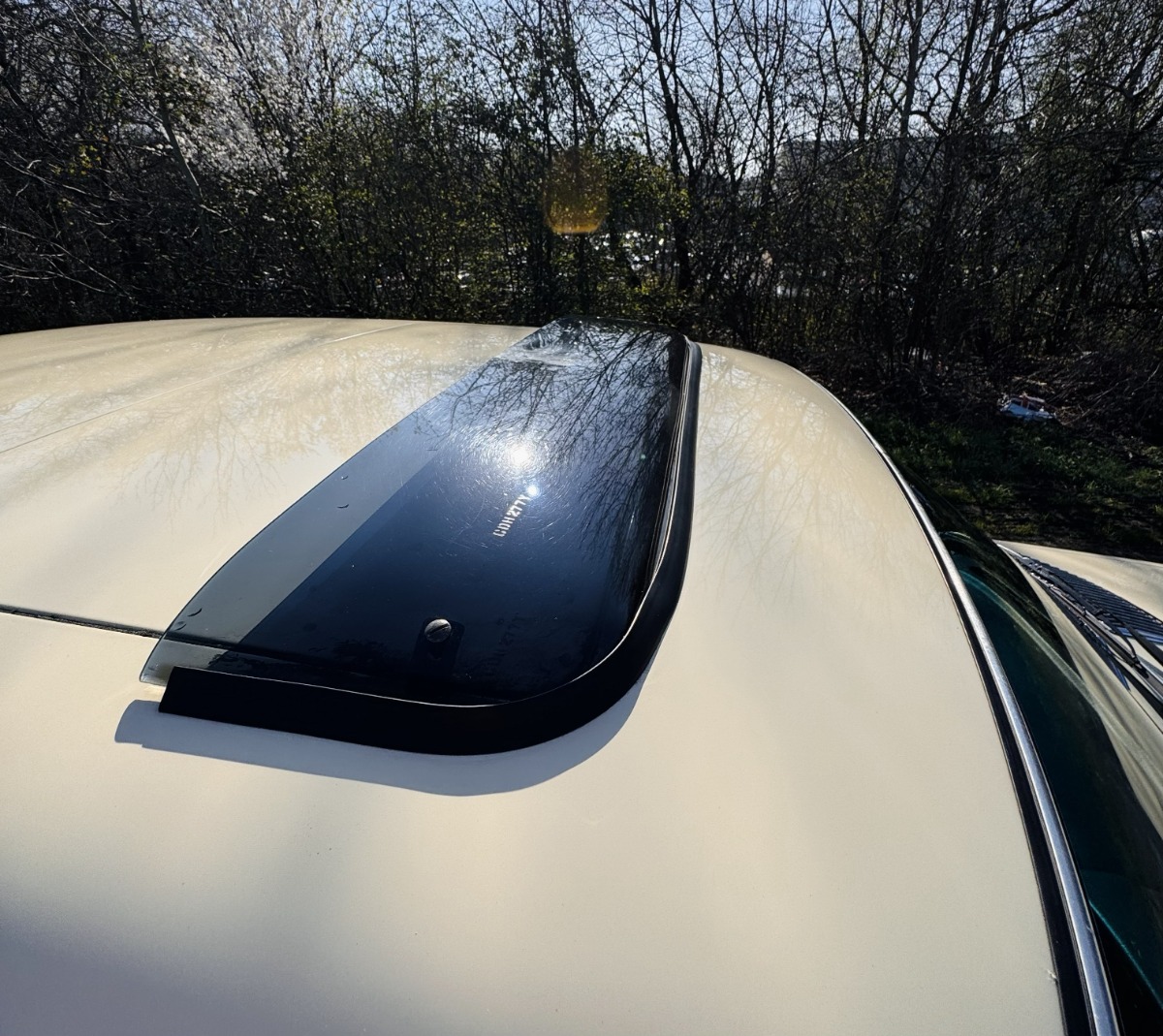 1981 Mercedes-Benz W123 Image 6