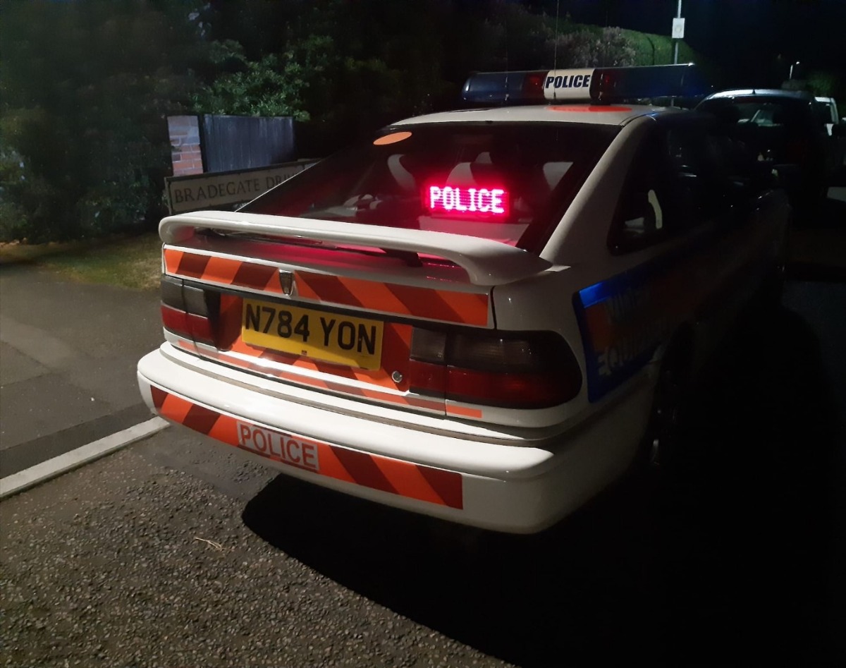 1996 Rover 800 Image 6