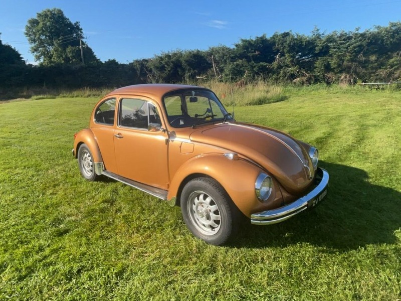 1973 Volkswagen Beach Buggy Image 1