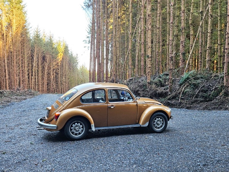 1973 Volkswagen Beach Buggy Image 3