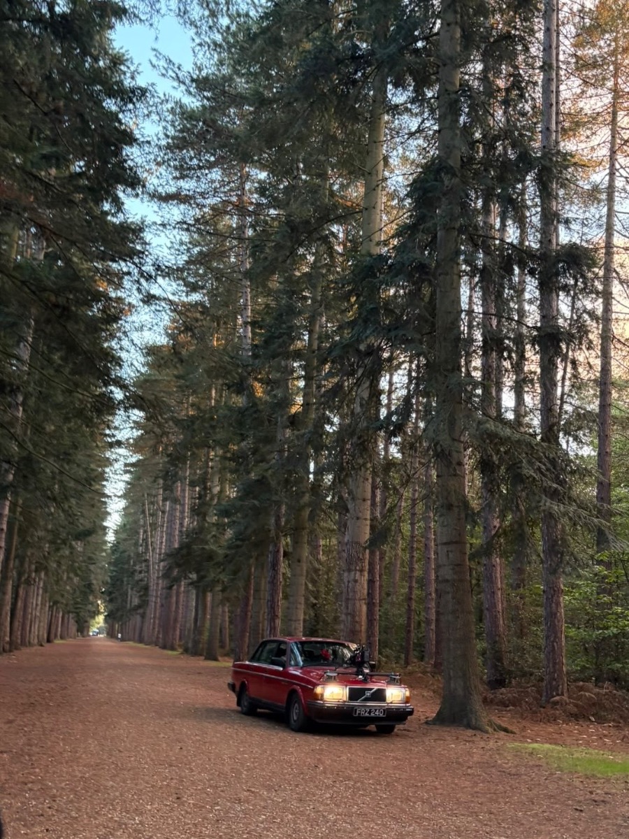 1986 Volvo 240 Image 1