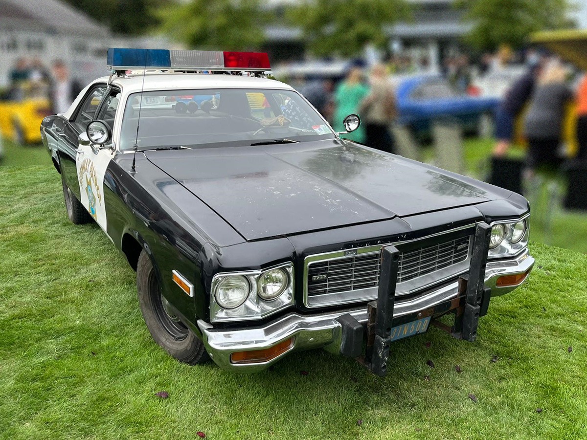1973 Dodge Polara Image 6