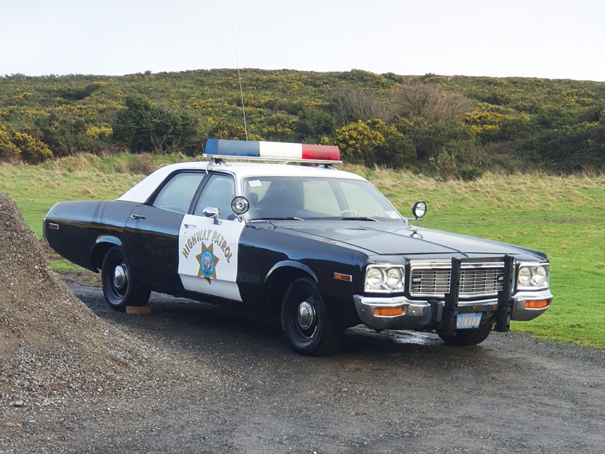 1973 Dodge Polara Image 1