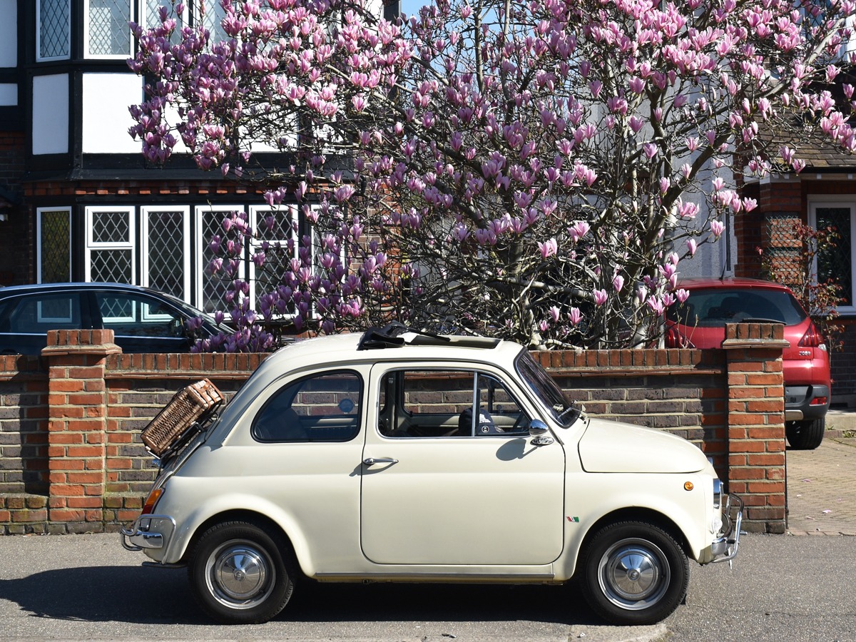 1972 Fiat 500L Image 4