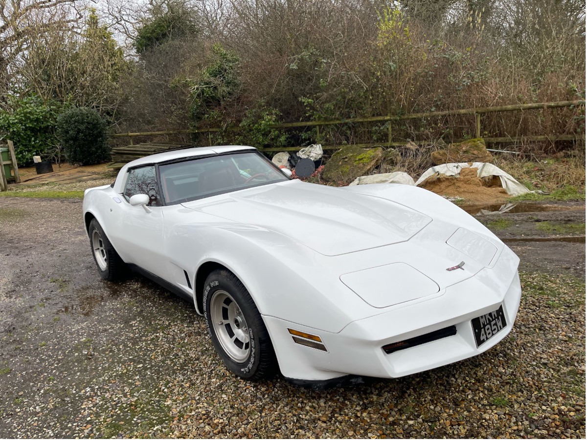 1981 Chevrolet Corvette Image 3