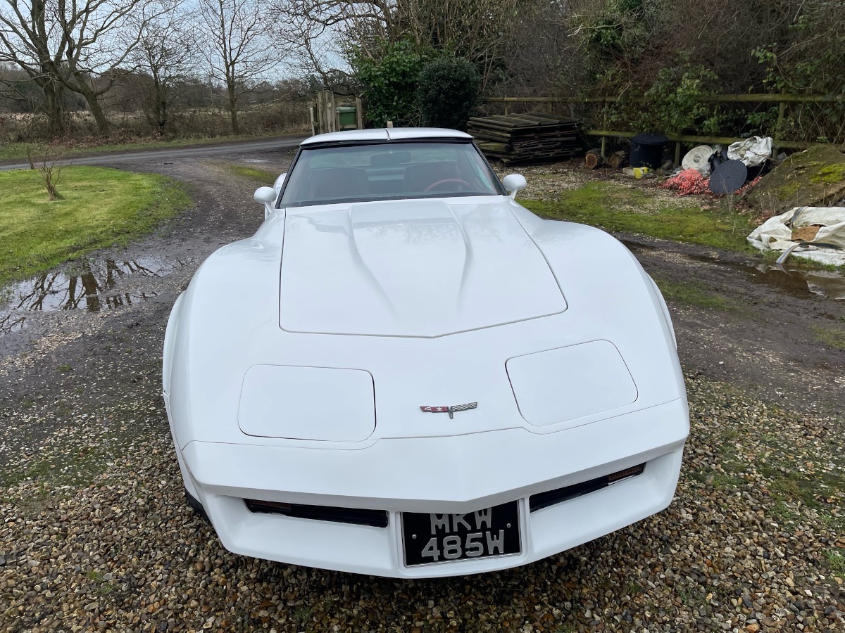 1981 Chevrolet Corvette Image 4