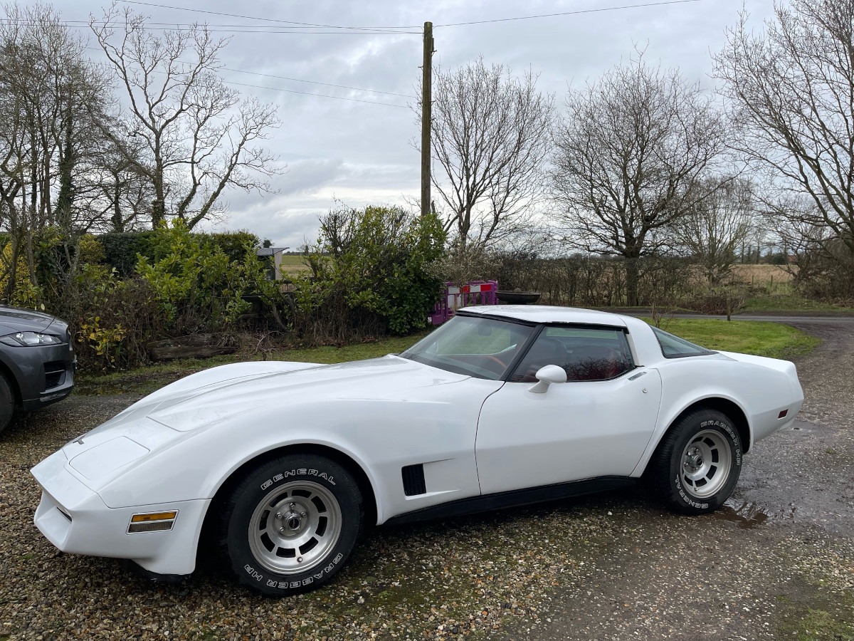 1981 Chevrolet Corvette Image 2